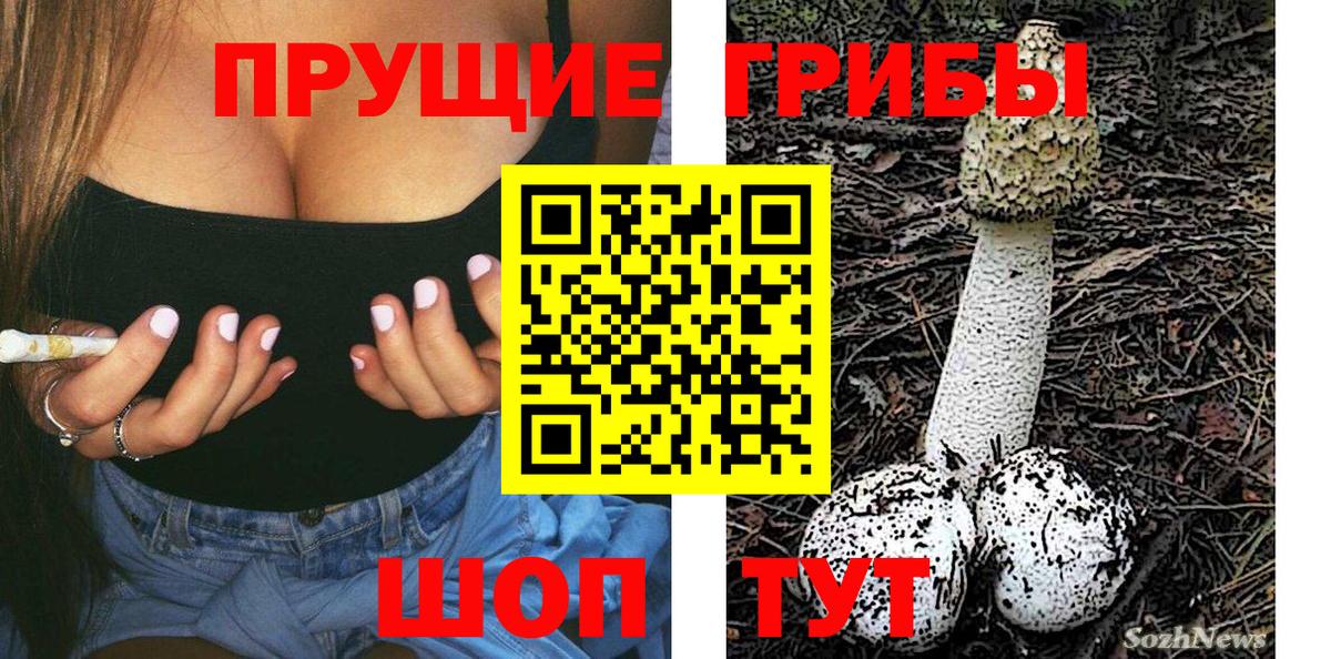 Татарск  купить   Вход с VPN  Псилоцибиновые грибы Magic Shrooms 